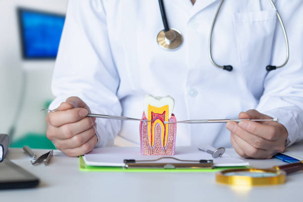 Best Emergency Dental Care for Broken or Chipped Teeth in Brices Creek, NC